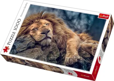 Zdjęcie produktu dla Trefl Puzzle Lew 1000 szt