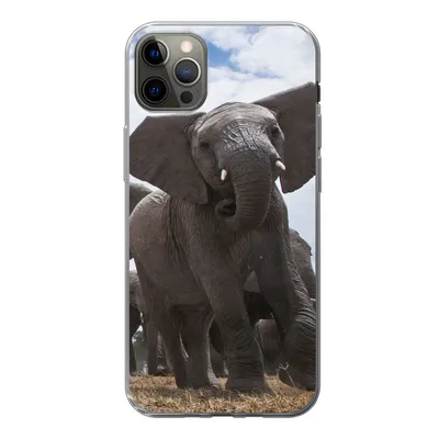 Produktbild von MuchoWow® Handyhülle Schutzhülle Hülle für iPhone 12 Pro Max Elefant - Tiere - Natur - Flachland Silikon Softcase Handy Hülle - Hartschale