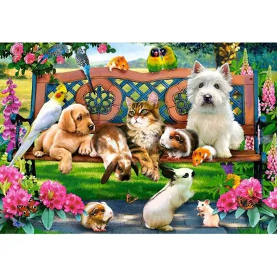 Produktbild von Castorland Pets in the Park 1000 pcs, 1000 Stück(e), Tiere, 9 Jahr(e)