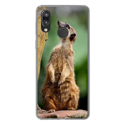 Produktbild von MuchoWow® Handyhülle Schutzhülle Hülle für Huawei P20 Lite (2020) Erdmännchen - Tier - Rock Silikon Softcase Handy Hülle - Kartenhalter