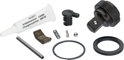 Image de HAZET 916HP/10 Jeu de pièces détachées pour roues à rochet