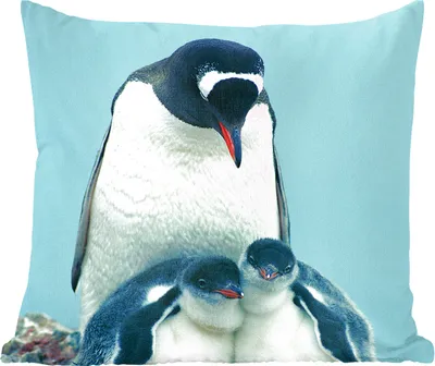 Produktbild von MuchoWow® Zierkissen Sofakissen Wohnzimmer Dekokissen 60x60 cm Tiere - Pinguine - Küken - Sitzfläche - Foto Polster