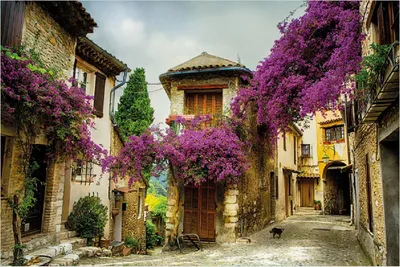 Produktbild von Wallario Poster - Malerische Stadt in der Provence mit bunten Blumen, Kunstdruck Größe: 61 x 91,50 cm