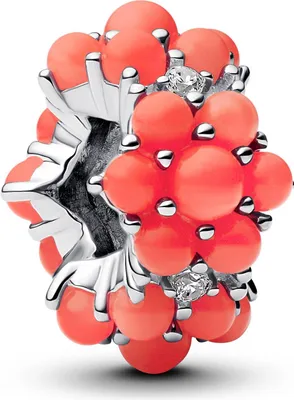 Immagine prodotto di Pandora Charm Oceano Rosso Corallo 793897C01 Ciondolo Charm