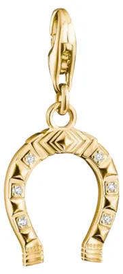 Produktbild von THOMAS SABO Charm-Anhänger Hufeisen 2234-M01-14