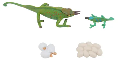 Produktbild von 4 Stück Simulation Tiermodell Spielzeug Ornament Kinder Kognitiver Wachstumszyklus für die Heimschule