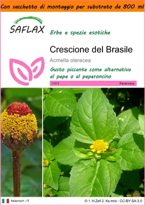 Immagine prodotto di SAFLAX Garden in the bag - Crescione del Brasile - 500 semi - Acmella