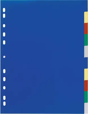 Immagine prodotto di DURABLE Divisorio A4+ in PP 10 tasti con cavalierini colorati e indice , Colorato, 674727