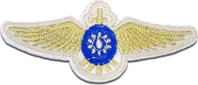 Produktbild von Flügel Spirituell - Aufnäher, Bügelbild, Aufbügler, Applikationen, Patches, Flicken, Zum Aufbügeln, Größe: 7,5 x 3,4 cm
