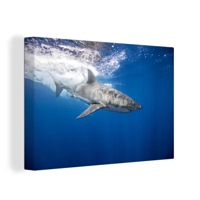 Obrázek produktu pro OneMillionCanvasses® Malba na plátně Nástěnná malba na plátně - Žralok - moře - voda - 150x100cm