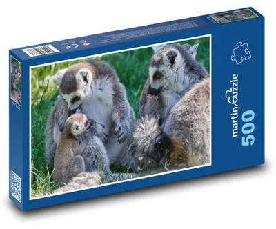 Zdjęcie produktu dla Puzzle 500 Rodzina lemurów z młodym - martinpuzzle