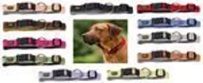 Produktbild von Hunter Halsband Neopren Vario Plus