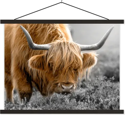 Produktbild von MuchoWow® Textilposter Schottisches Hochlandrind - Blumen - Kuh 120x90 cm mit schwarzem Rahmen - Aufhänger für Poster