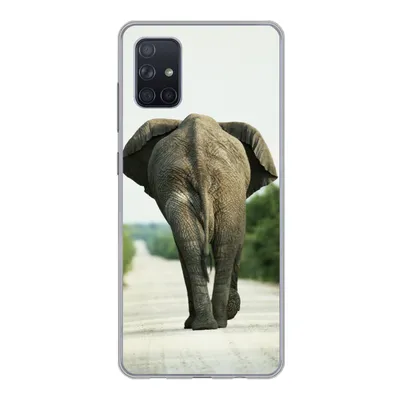 Produktbild von MuchoWow® Handyhülle Schutzhülle Hülle für Samsung Galaxy A71 Elefant - Kröte - Tiere - Natur Silikon Softcase Handy Hülle - Kartenbesitzer