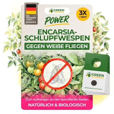 Produktbild von Encarsia Schlupfwespen gegen weiße Fliegen, 3 Karten für 15 m², weiße Fliege bekämpfen für Innenräume & Gewächshaus, Chemiefrei&Sicher, Green Guardia
