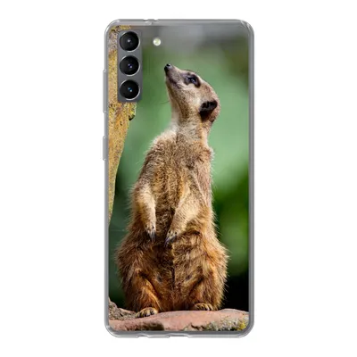 Produktbild von MuchoWow® Handyhülle Schutzhülle Hülle für Samsung Galaxy S21 Plus Erdmännchen - Tier - Rock Silikon Softcase Handy Hülle - Handy-Tasche