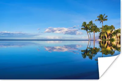 Produktbild von MuchoWow® Poster Am Wailea Beach in Hawaii spiegeln sich Palmen im Wasser 90x60 cm - Schlafzimmer