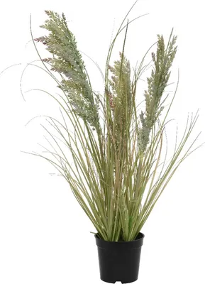 Produktbild von Kunstpflanze Schilfgrasbusch - Grün - schwarzer Kunststofftopf - H 60 cm