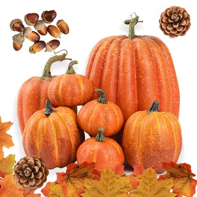 Herbst-Deko-Set: 7 Kürbisse, 50 Ahornblätter, Eicheln & Tannenzapfen