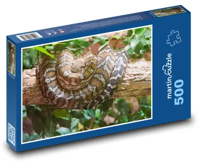 Obrázek produktu pro Puzzle 500 Had na větvi v džungli - martinpuzzle