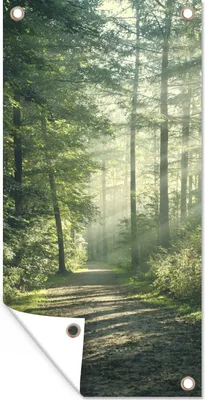 Produktbild von MuchoWow® 80x160 cm Outdoor-Poster Gartendeko Sichtschutz Garten Poster für den Garten  Wald - Weg - Sonne - Bäume - Grün - Natur