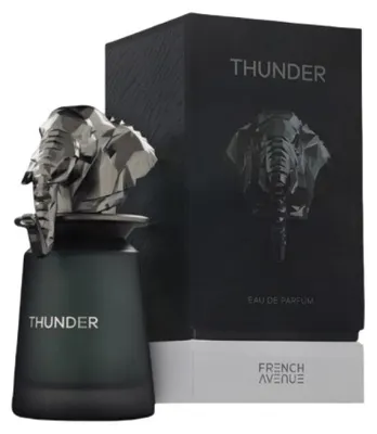Productafbeelding van French Avenue Thunder Eau de Parfum, 100 ml (voor heren)