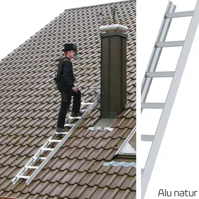 Image de MUNK Günzburger Échelle de toit en aluminium naturel Alu 10 marches 2,80 m