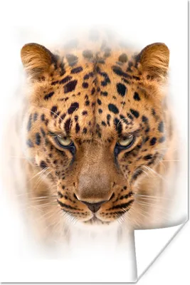 Produktbild von MuchoWow® Poster Leopard - Kopf - Weiß 120x180 cm - Kunstposter