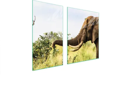 Produktbild von Herdabdeckplatten 2 teilig 90x52 Glaskeramikkochfeld Abdeckung Glas Schneidebrett Elefant Tier