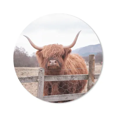 Produktbild von MuchoWow® Mauspad Mousepad Scottish Highlander - Gras - Zaun 20x20 cm - Mousepads - Maus Mat - Pad - Mausunterlage - Schreibtischmatte
