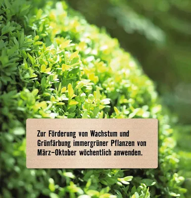 Produktbild von Buchsbaumdünger & Ilexdünger FloraSelf Select 1 L