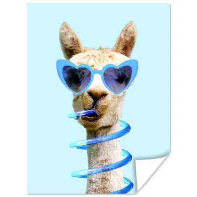 Produktbild von MuchoWow® Poster Lama - Sonnenbrille - Blau - Tier 60x80 cm - Schlafzimmer Dekoration