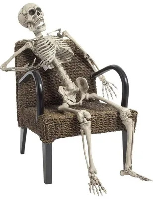 Produktbild von Realistisches Skelett Halloween-Deko weiss 160cm - Einheitsgröße