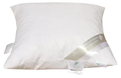 Produktbild von Betten Hofmann Kopfkissen 50x50 Kleinkissen Kissen Federkissen 550 g prall 30% Daunen