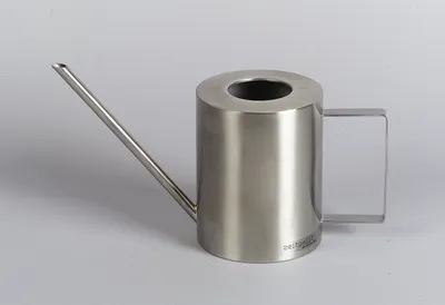 Produktbild von my basics Edelstahl Gießkanne  1,25l