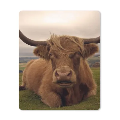 Produktbild von MuchoWow® Mauspad Mousepad Schottischer Highlander - Tiere - Berg 30x40 cm - Mousepads - Maus Mat - Pad - Mausunterlage - Mausmatten