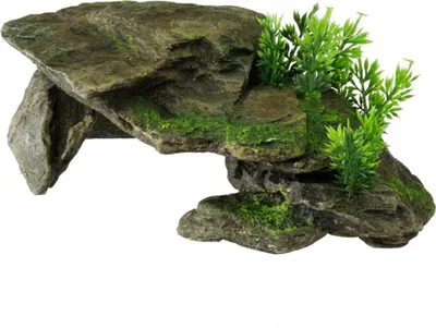 Productafbeelding van Aqua D'ella Steen met planten