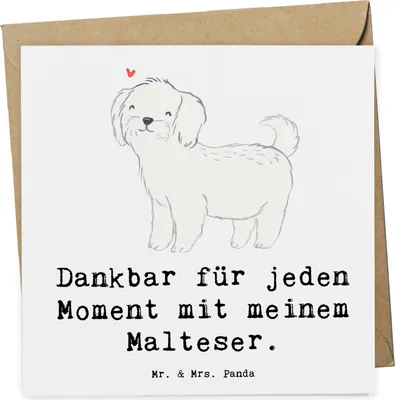 Produktbild von Mr. & Mrs. Panda Glückwunschkarte Malteser Moment - Weiß - Geschenk, doppelkarte, faltkarte, anlasskarte, Grußkarte, Klappkarte