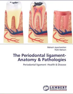 Produktbild von The Periodontal ligament- Anatomy & Pathologies