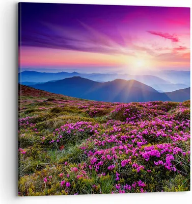 Produktbild von Bild auf Leinwand - Leinwandbild - Wiese Berg Himmel Landschaft - 70x70cm - Wand Bild - Wanddeko - Leinwanddruck - Bilder - Kunstdruck - Wanddekoration - Leinwand bilder - Wandkunst - AC70x70-2719
