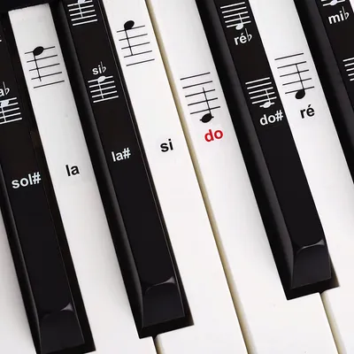 Produktbild von Notenaufkleber für Klavier, 49|61|76|88 Tasten, Lernhilfe für Klavierspieler