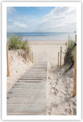 Produktbild von Poster - Poster ohne Rahmen - Strand Düne Eintritt - 61x91,5 cm - Wand Bild - Wanddeko - Wandbilder - Kunstposter - Wandposter - Bilder - Kunstdruck - Wanddekoration - Wandbild - P2XPA61x91-4188