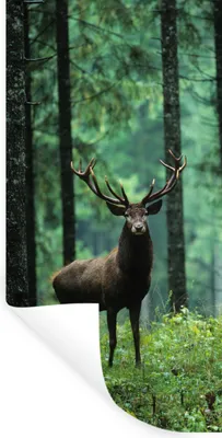 Produktbild von MuchoWow® Wandtattoo Wandsticker Wandaufkleber Hirsche - Wald - Bäume - Tiere - Natur 60x120 cm Selbstklebend und Repositionierbar - Selbstklebend - Fototapeten