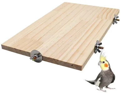 Produktbild von Holz-Kletterplattform für Kleintiere, 40 x 26 cm