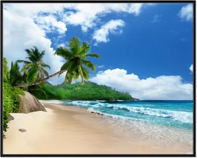 Produktbild von Wallario Wandbild Urlaub auf den Seychellen unter Palmen am Sandstrand, Größe: 40,30 x 50,30 cm, Poster mit schwarzem Aluminiumrahmen