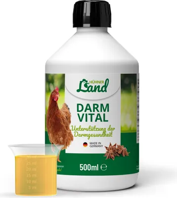 Produktbild von HÜHNER Land Darm Vital 500ml für Hühner – Unterstützung der Verdauung & Darmflora von Hühnern, bei Durchfall und Kokzidien beim Huhn, Stärkung von Immunsystem, Darmfunktion & Darmtrakt von Hühnern