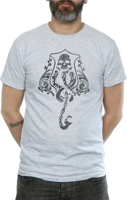 Produktbild von Harry Potter - T-Shirt für Herren BI737 (L) (Grau)