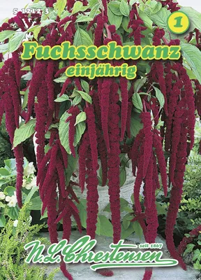 Produktbild von Fuchsschwanz | Fuchsschwanzsamen von N.L. Chrestensen