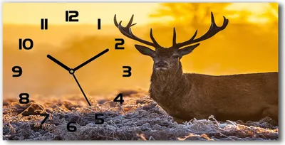 Produktbild von Wanduhr aus Glas – 60x30 cm - Glasbild - Glasuhr - Gehärtetes Glas - schwarze-zeiger - Deer Sonnenaufgang