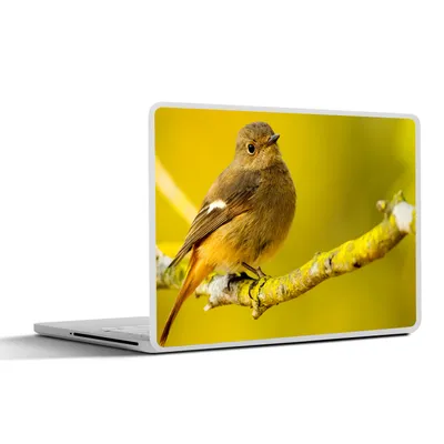 Produktbild von MuchoWow® Laptop Aufkleber Sticker Cover Tiere - Vogel - Zweig 30x21 cm - Sticker für Laptop - Selbstklebend